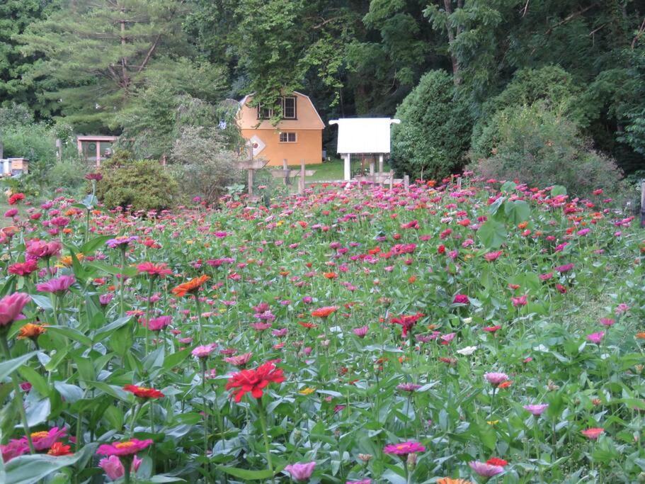 Virginia Country Cottage, Great Location, Pets Troutville Exterior photo